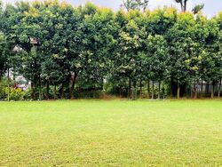 Bin Tong Park (D10), Detached #460160461